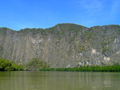 ท่าเรือท่าด่านศุลกากร ป่าชายเลน อุทยานแห่งชาติอ่าวพังงา อ.เมือง จ.พังงา